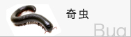 奇虫