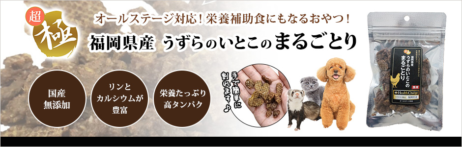 超極み 福岡県産 まるごとり 30g