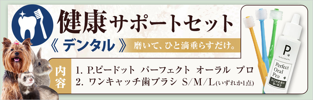 �򹯥��ݡ��ȥ��å� �ǥ󥿥롡P.������� �ץ�+��󥭥�å����֥饷��SML��