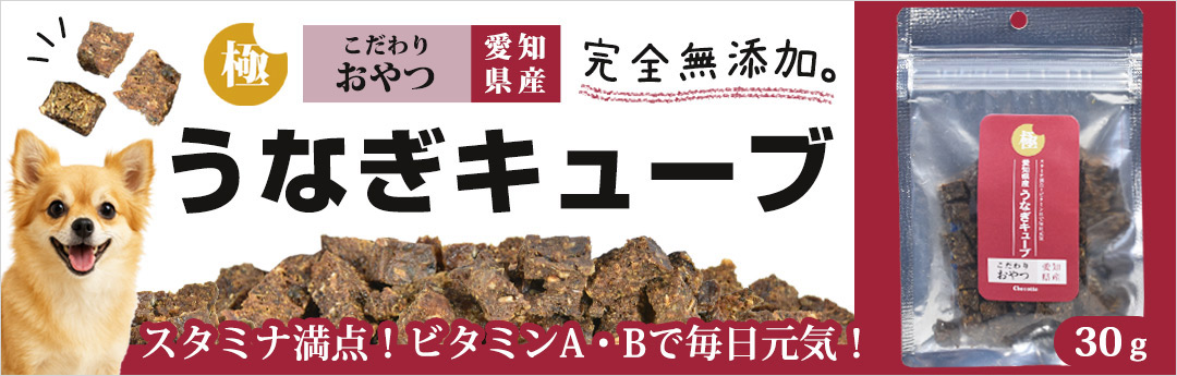 極みこだわりおやつシリーズ 愛知県産 うなぎキューブ 30g