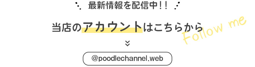 アカウントはこちら