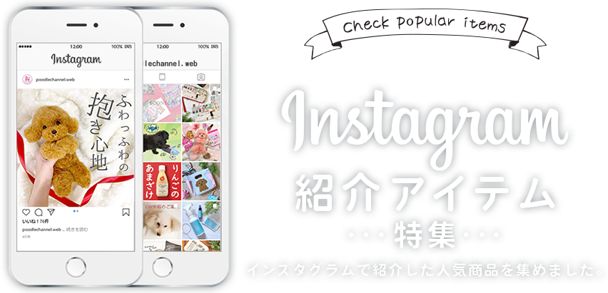 Instagram紹介アイテム特集