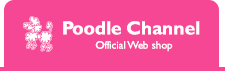 Poodle Channel