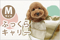 LIP1001@ӂL[ Thx[W@MTCY