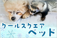 iDog&iCat N[XNGAxbh ڐG⊴ R hL