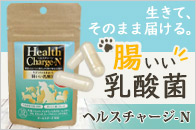 �w���X�`���[�W-N�i10�J�v�Z���j