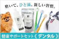 �y�Z�b�g���i�z���N�T�|�[�g�Z�b�g �f���^���@P.�I�[���� �v��+�����L���b�`���u���V�iSML�j