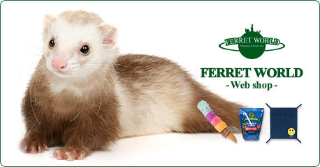 FERRET WORLDʥեåȥɡ