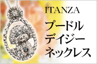 ITANZA@v[hfCW[lbNX Vo[925 ԂH
