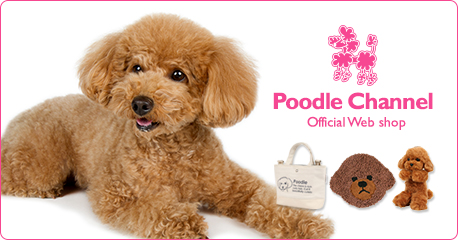 Poodle Channelʥסɥͥ