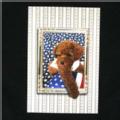 オリジナル ポストカード アメリカン　プードルプードル 雑貨 カード グリーティングカード ステーショナリー グッズ 犬 ドッグ