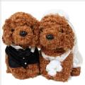 パピーパッション　洋装ウェディングドール　トイプードルプードル 雑貨 インテリア 人形 結婚 ブライダル グッズ 犬 ドッグ