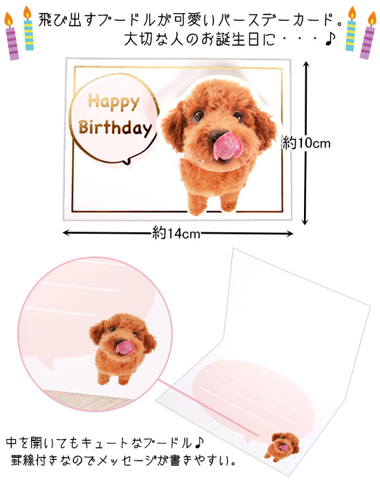 ゆうパケットok メール便 バースデーカード フルフルアニマル トイプードル 封筒付き プードルチャンネル ペットグッズショップnc