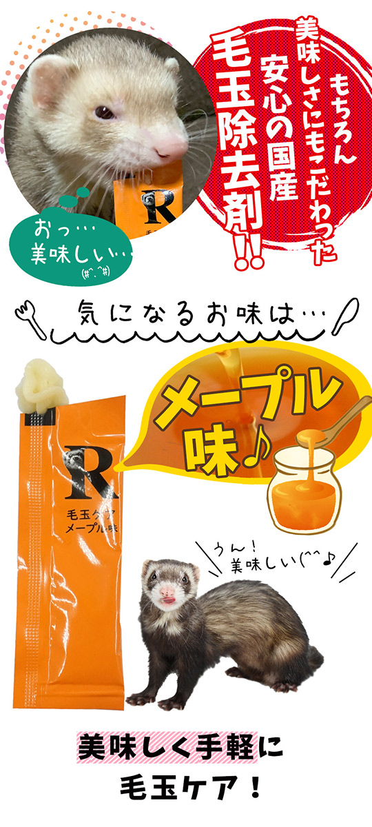 2021新発 ヘルスチャージ-R 毛玉ケアEX 2.5g×30本入り フェレット用健康補助食品バイト フェレット バイト サプリメン  idvn.com.vn