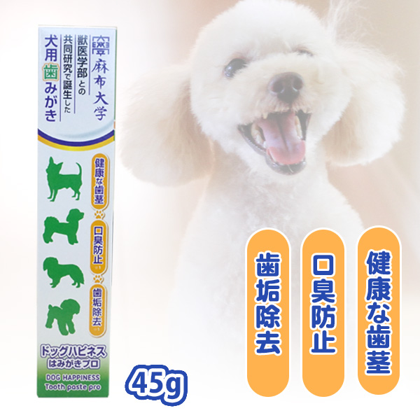 犬用はみがき剤 ドッグハピネス はみがきプロ 45g 犬ごころ ペット