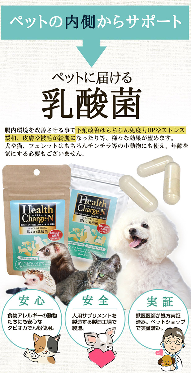 ゆうパケットok メール便 正規品 ヘルスチャージ N 10カプセル 乳酸菌 栄養補給 健康維持 オールステージ対応 国産 犬 猫 フェレット ウサギ チンチラ ハリネズミ ペット 乳酸菌 整腸 腸内環境 免疫 大腸 善玉菌 アレルギー 栄養補助 長生き 犬