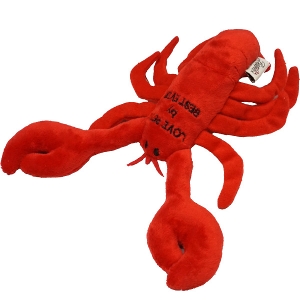 xXgGo[ XNC[L[@Pet Toy uX^[yzyz@