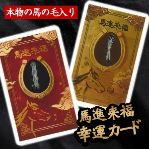 �{���̔n�̖ѓ���I�n�i�����I�K�^�J�[�h�y���[���։z